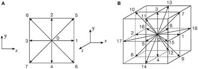 Transport and Mixing Induced by Beating Cilia in Human Airways